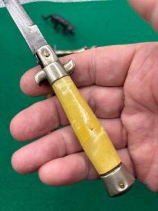 Rare but Sharpened 12cm Horn and 18cm Coricama Shell Wrap