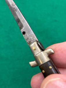 Rare but Sharpened 12cm Horn and 18cm Coricama Shell Wrap