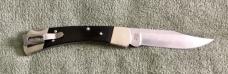 Buck May 2025 Stealth Run #10 110 Slim Elite LE Knife 0110BRS16-B 1 Of 750 NIB