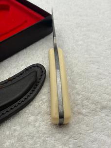 Schrade Sharpfinger Scrimshaw ( Mountain Lion) SC-502 New In Box
