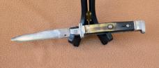 Mexican Picklock