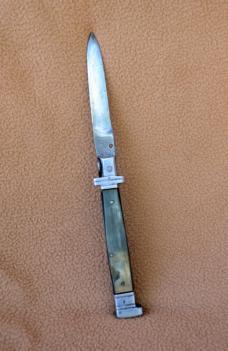 Mexican Picklock