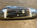 1995 BULLDOG BRAND STAG ELEPHANT TOE WOLVERINE KNIFE COLLECTORS CLUB NO BOX