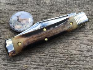 Great Eastern Cutlery Northfield 941125 Liberty Jack Sambar Stag