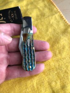 Case Sea Dragon Bone Barlow