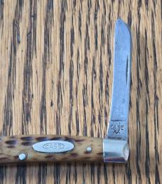 Case XX (1940-64) 6269 Greenbone (LiL) Congress Knife