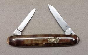 Flylock Tortoise Celluloid with Tip Bolsters