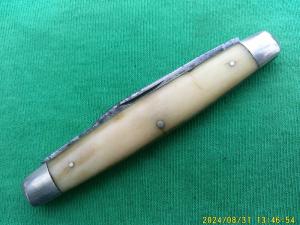 Holley MFG Lakeville Smooth White Bone Pen