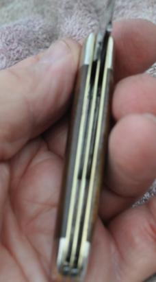 Case Swell End Jack 2 Blade 6235 1/2 One Dot 1979 Apaloosa Smooth Bone Never Used Factory Edge