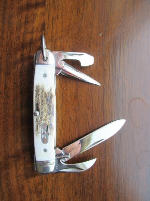 Case XX Elk Horn Stag Junior Scout Knife