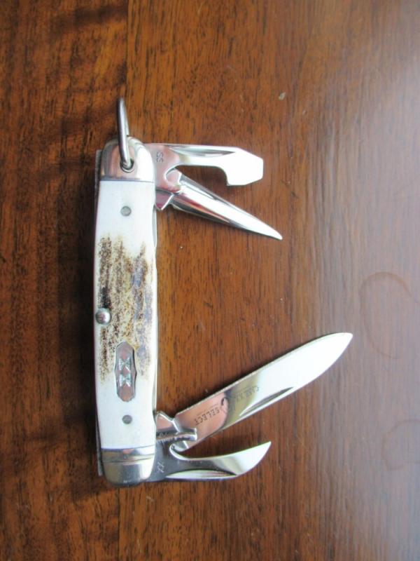Case XX Elk Horn Stag Junior Scout Knife
