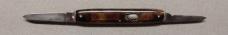 Flylock Tortoise Celluloid with Tip Bolsters 