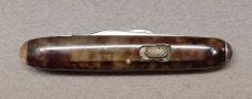 Flylock Tortoise Celluloid with Tip Bolsters 