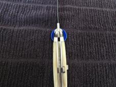 DUE BUOI  9 INCH HORN 64 of 100