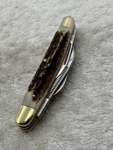 Hen & Rooster C Bertram Stag Handle 4 Blade Congress  214-DS Pocket Knife (#85)