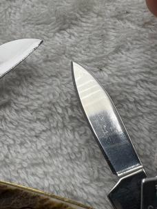 Hen & Rooster C Bertram Stag Handle 4 Blade Congress  214-DS Pocket Knife (#85)