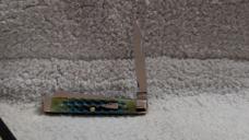 Case XX 2025 Baby Doc Sea Dragon SMKW SFO