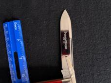 Schatt and Morgan Red Jigged Bone Swing Guard Cheetah Knife Queen 1/100 Limited Edition MIB!