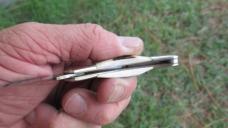 VTG EXPLORER SQUIER IV Japan Small Tiny Lockback Knife Stag Handles 11-384