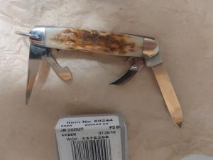 Case 2016 Jr scout amber bone