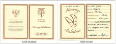 Vincenzo Balistreri White Wolf 3.9375" Closed with Buffalo Horn Covers And Sheep Foot Blade (14)