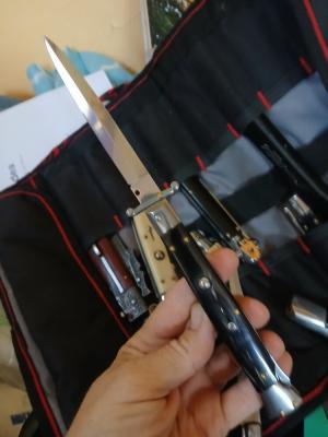 Frank Beltrame Swing guard Dagger