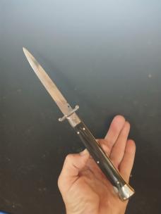 Frank Beltrame Swing guard Dagger