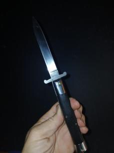 Korizzy Korean Rizzuto Clone Large model