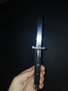 Korizzy Korean Rizzuto Clone Large model