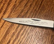 PIK LOCK LOCKING BONE STAG, MEDICAL ??