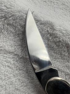 Case XX 2005 USA 5 Dot 3 Blade Sea Horse Whittler 103555WH SS