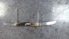 Case XX 10 Dot Reddish Bone Handle Congress Pattern #64052