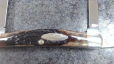 Case XX 10 Dot Reddish Bone Handle Congress Pattern #64052