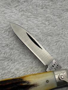 Case XX 1980 2 Blade Stag Handle Small Pocket Knife Pattern 52042R SSP Made In USA (#19)