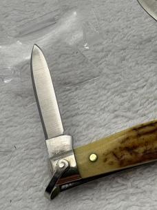 Case XX 1980 10 Dot 2 Blade Stag Handle Small Pocket Knife Pattern 5204R SSP (#88)