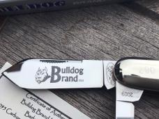 Great Eastern Cutlery 2009 Bulldog Brand SFO Pattern 25 Smooth Amber Bone Serial #87