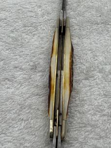 Zwilling J A Henckels Stag 4 Blade Medium Congress Pocket Knife Made In Germany (#89)