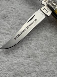 Case XX 1979 1 Dot 5207SP SSP 2 Blade Mini Trapper Engraved Bolsters (#109) 