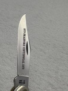 Case XX 1979 1 Dot 5249 SSP 2 Blade Copperhead Engraved Bolsters (#108) 