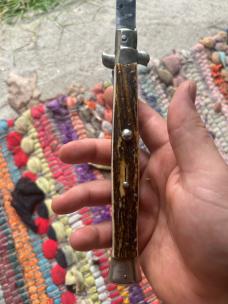 13" cursive rostfrei transitional