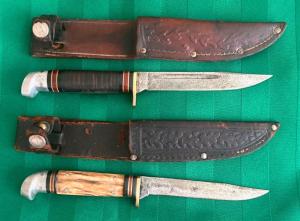  Western Bird amp Trout Knives L48A  Stag