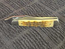 CASE RUSSLOCK AMBER BONE