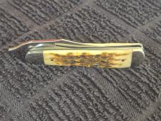 CASE RUSSLOCK AMBER BONE