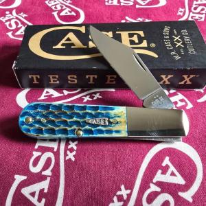 2025 SMKW exclusive Case Barlow 61009 12 SS Beautiful Sea Dragon Bone handles