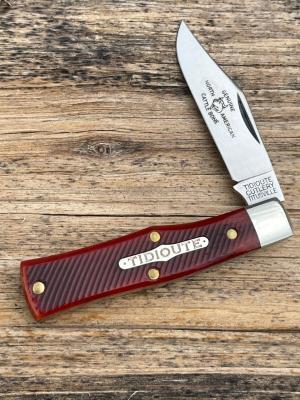 GEC TIDIOUTE 221124 BURNT ORANGE SAWCUT BONE MAGNUM CLIP POINT