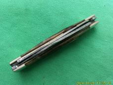 Case XX USA Moose 6275SP 1980 Appaloosa Bone