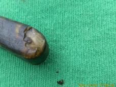 Genuine Tortoise Shell with Dancing Man Shield Unmarked
