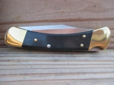 Buck 110 Folding Hunter 