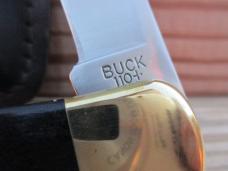 Buck 110 Folding Hunter 