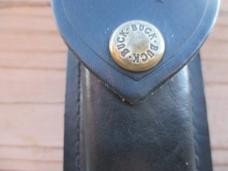 Buck 110 Folding Hunter 